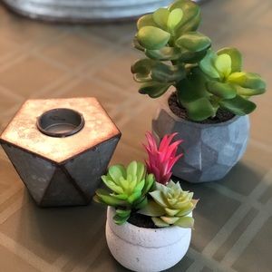 Faux plants and tea light holder